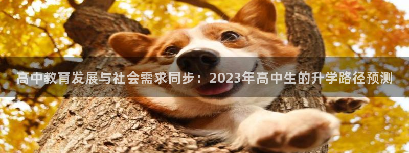尊龙这个平台怎么样