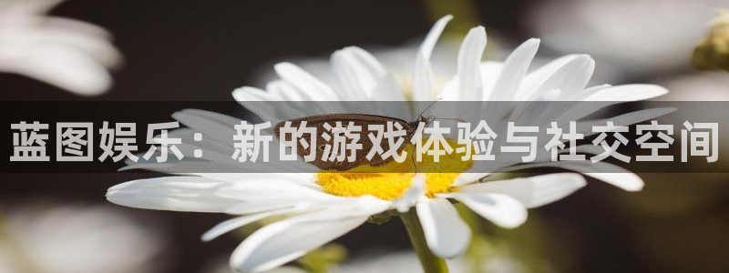 尊龙时凯