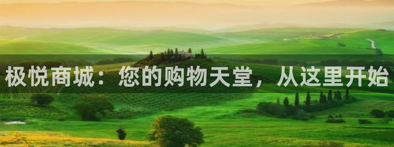 尊龙凯时·人生就是搏：极悦商城：您的购物天堂，从这里开始