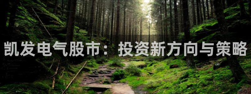 尊龙在线登录官网：凯发电气股市：投资新方向与策略