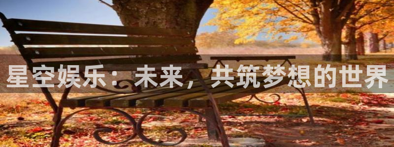 尊龙凯时ag：星空娱乐：未来，共筑梦想的世界