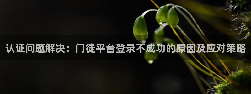 尊龙时凯登录入口：认证问题解决：门徒平台登录不成功的原因及应对策略