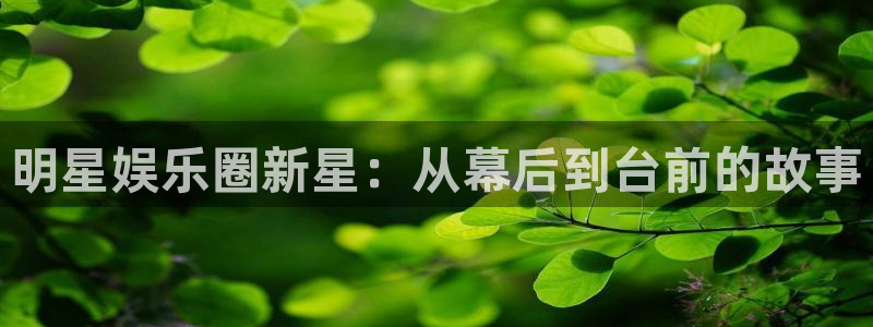 尊龙凯z6官网登录入口：明星娱乐圈新星：从幕后到台前的故事