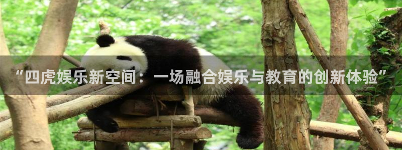尊龙凯时是正规平台吗：“四虎娱乐新空间：一场融合娱乐与教育的创新体验”