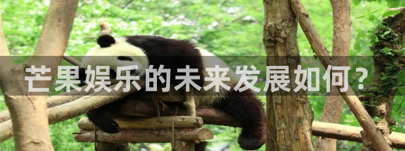 尊龙凯时ag：芒果娱乐的未来发展如何？