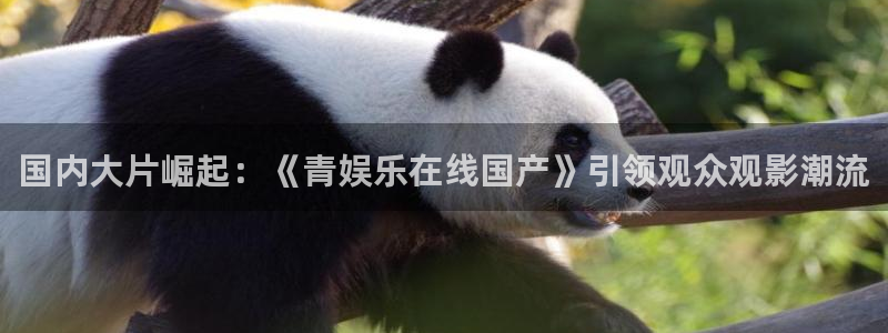 尊龙是谁：国内大片崛起：《青娱乐在线国产》引领观众观影潮流