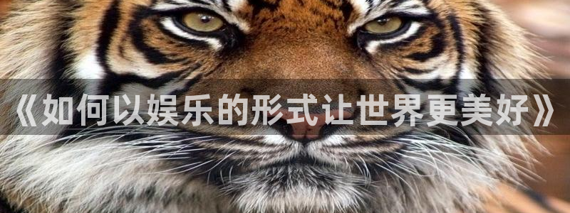 尊龙凯时人生就博：《如何以娱乐的形式让世界更美好》