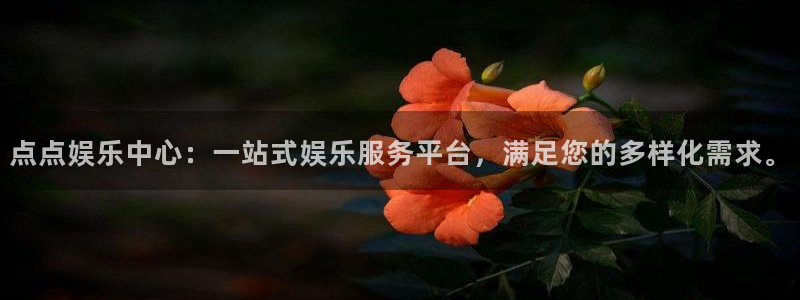 尊龙凯时d3563：点点娱乐中心：一站式娱乐服务平台，满足您的多样化需求。