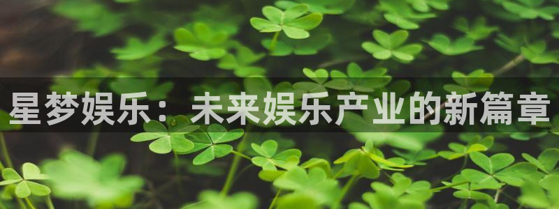 尊龙时凯是谁：星梦娱乐：未来娱乐产业的新篇章