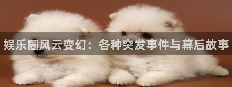 尊龙app官方正版下载：娱乐圈风云变幻：各种突发事件与幕后故事