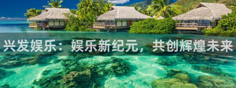 尊龙喜欢谁：兴发娱乐：娱乐新纪元，共创辉煌未来