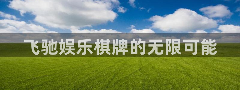 尊龙有多帅：飞驰娱乐棋牌的无限可能