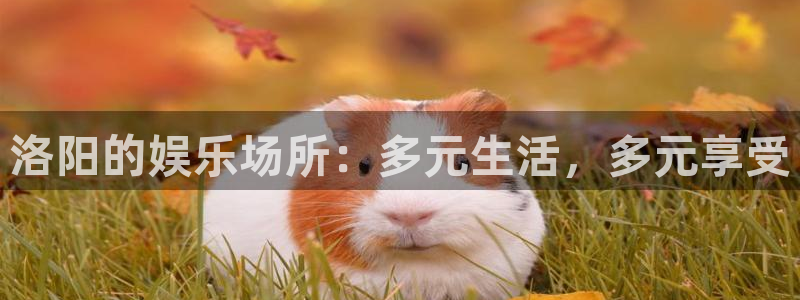 尊龙凯时人生：洛阳的娱乐场所：多元生活，多元享受