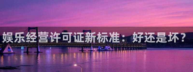 尊龙时凯是什么：娱乐经营许可证新标准：好还是坏？