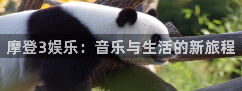 尊龙时凯：摩登3娱乐：音乐与生活的新旅程