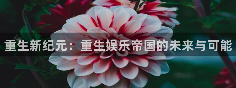 尊龙有多高：重生新纪元：重生娱乐帝国的未来与可能