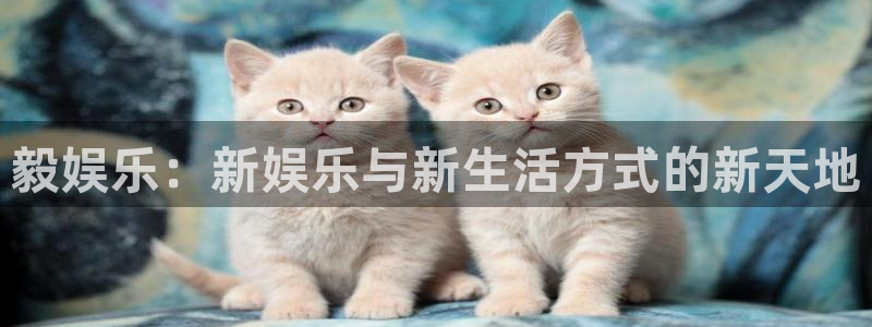 尊龙时凯中国官网登录：毅娱乐：新娱乐与新生活方式的新天地