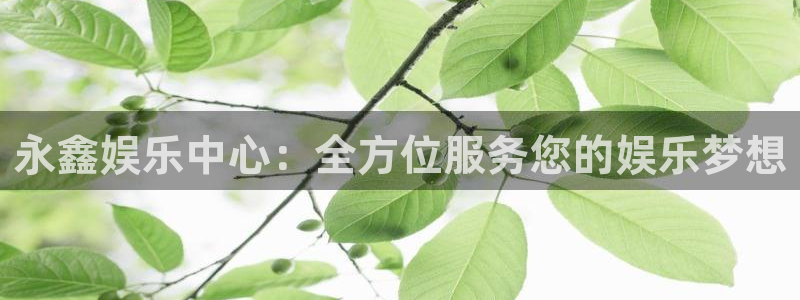 尊龙时凯官网：永鑫娱乐中心：全方位服务您的娱乐梦想