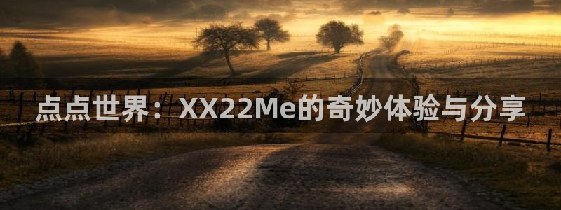 尊龙凯时人生就是搏怎么登录：点点世界：XX22Me的奇妙体验与分享