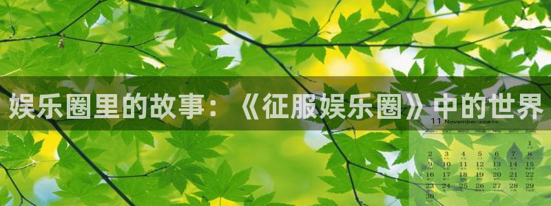 尊龙app官网登录：娱乐圈里的故事：《征服娱乐圈》中的世界
