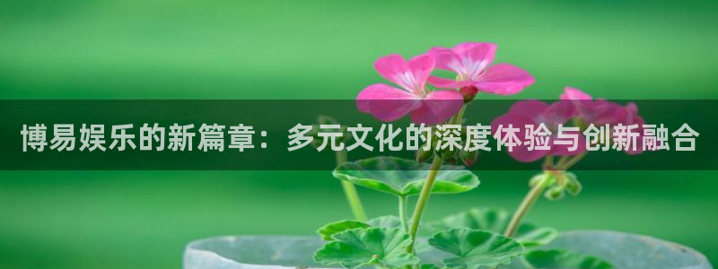 尊龙凯时登录：博易娱乐的新篇章：多元文化的深度体验与创新融合